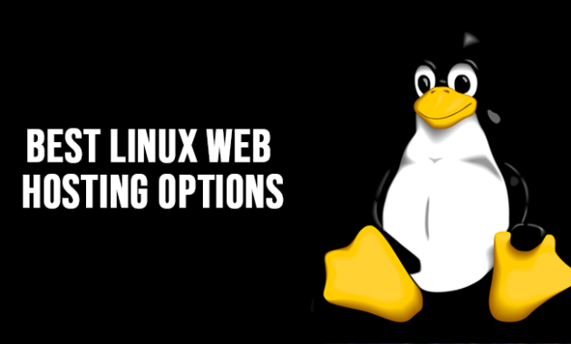 Best Linux Web Hosting Options