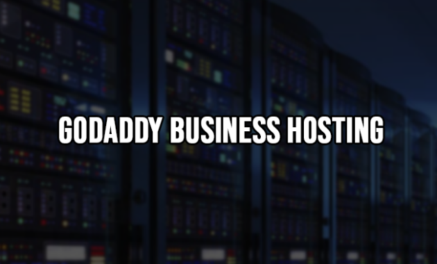 GoDaddy Business Hosting